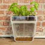 aquagarden10
