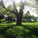 Frazer_Park_(Portland,_Oregon)