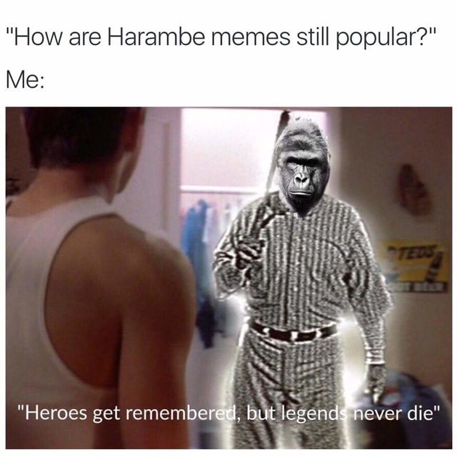 To Zoo or Not to Zoo: a Story of Harambe