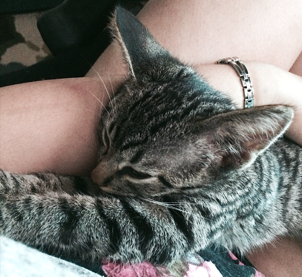 Screen Shot 2018-11-14 at 12.21.39 AM