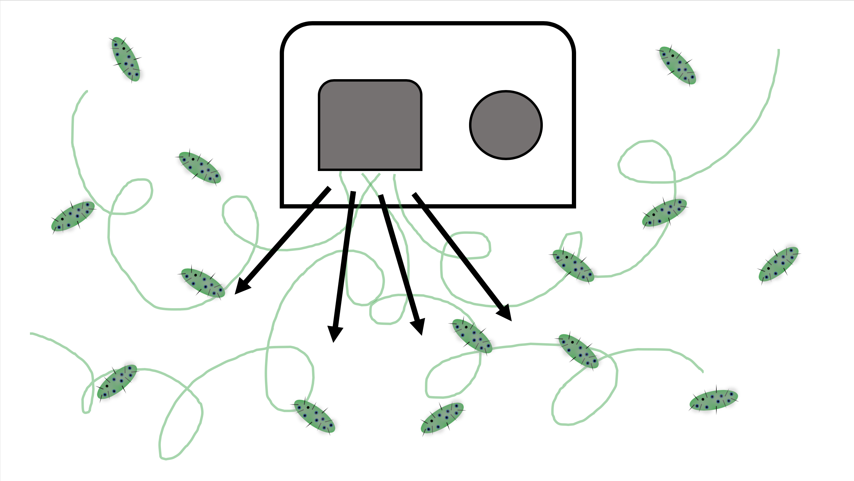 Screen Shot 2018-12-03 at 3.02.53 PM