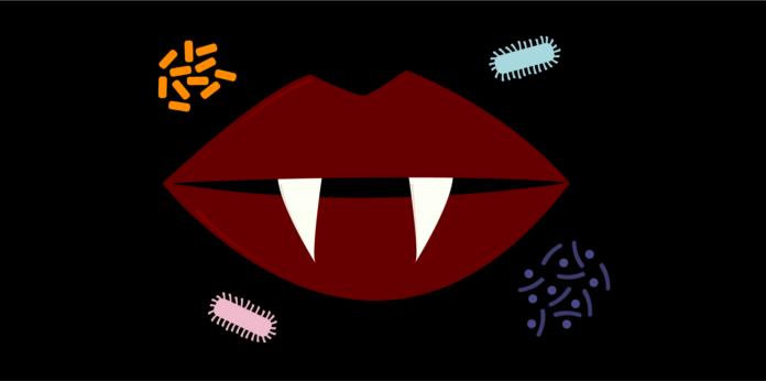 vampire_featuredImage_resized-01