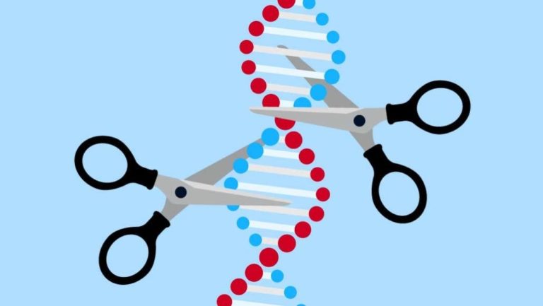 Understanding the Use of CRISPR in Humans