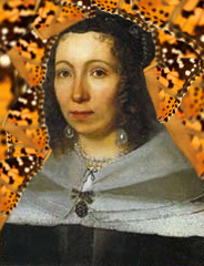 Maria Sibylla Merian