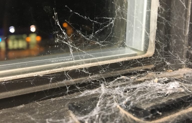 Science of Spider Silk