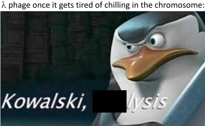 kowalski