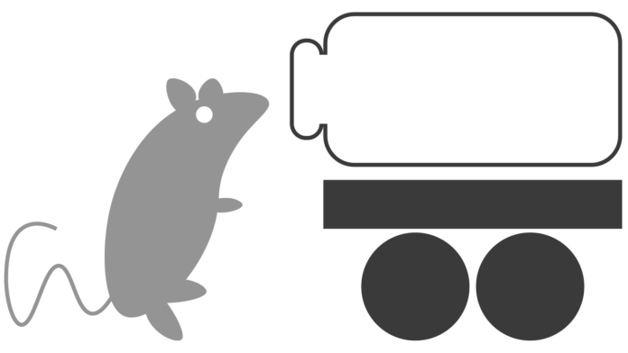 racing rats feature image A cartoon rat examines a rodent operated vehicle.