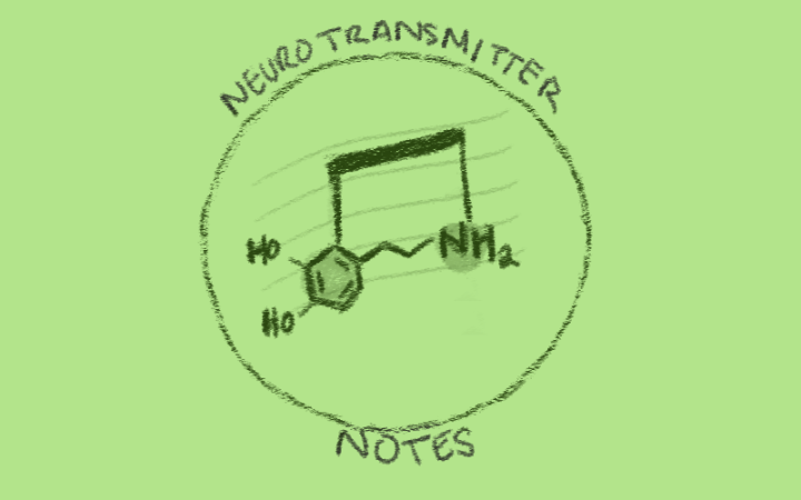Neurotransmitter Notes: Dopamine