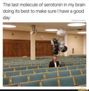 There is a picture of a man sitting alone in a lecture hall holding a bunch of balloons. The caption reads the last molecule of serotonin in my brain doing its best to make sure I have a good day.