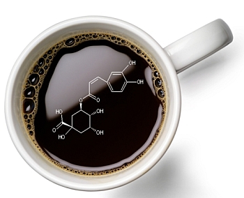 Coffee Chemistry