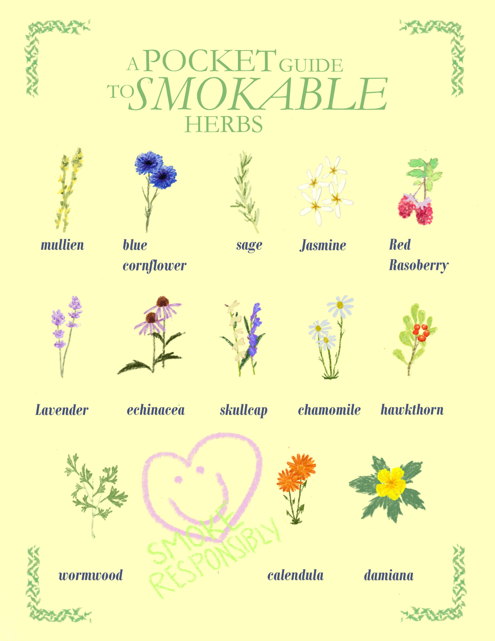 A Pocket Guide to Smokable Herbs - Charged Magazine