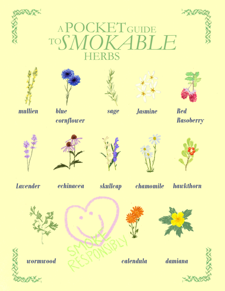 A Pocket Guide to Smokable Herbs