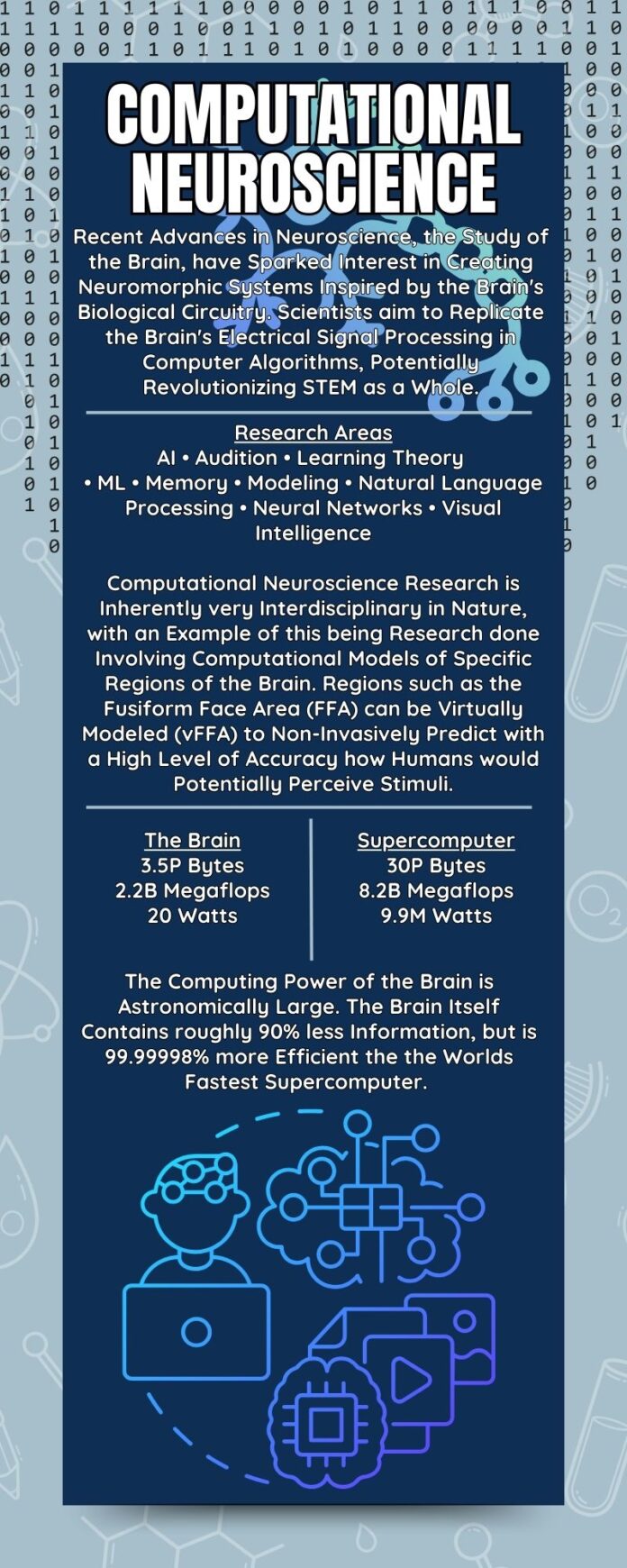 Computational Neuroscience Infographic - Charged Magazine