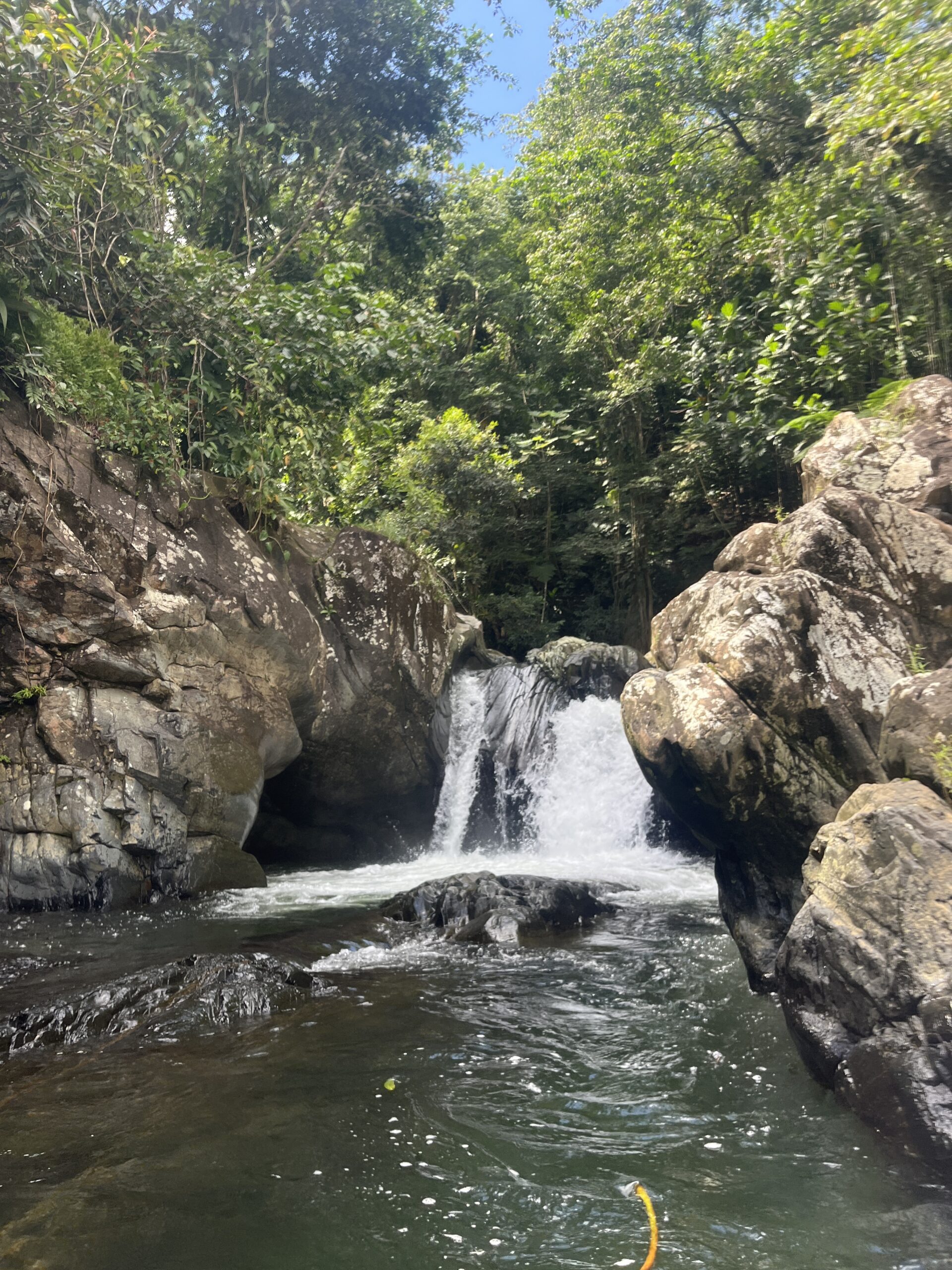 el yunque national forest