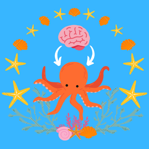Mind the Tentacles How Octopuses Outsmart Scientists (and Aquariums) (3)