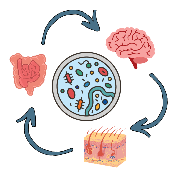 Skin Microbiome Graphic