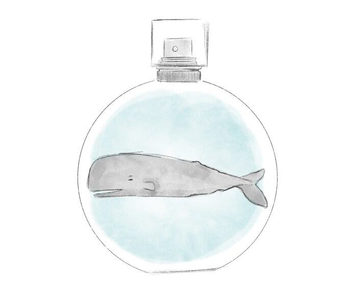 au_de_whale image of drawn whale in perfume bottle