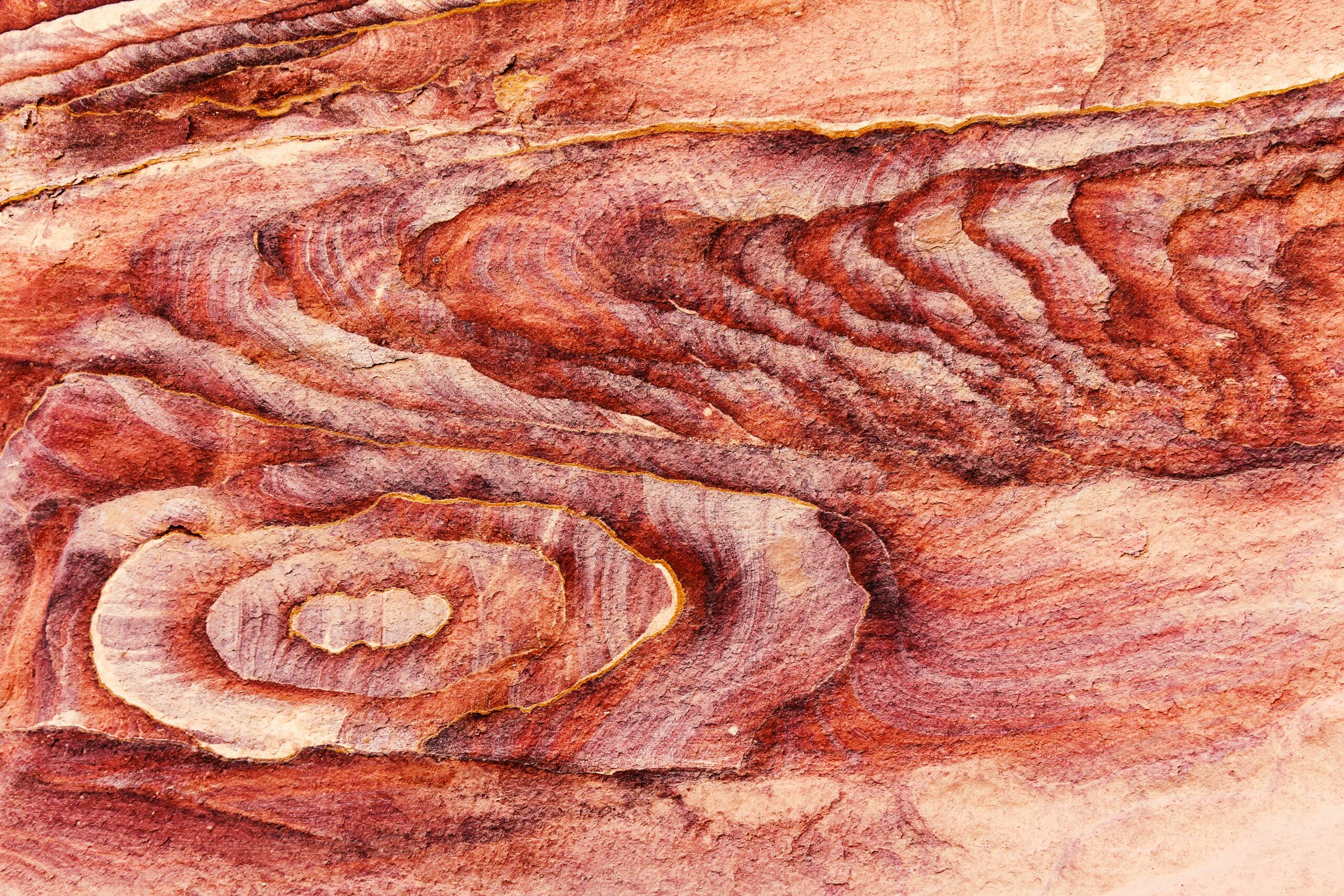 damir-kalic-GZDMZT3vFbU-unsplash