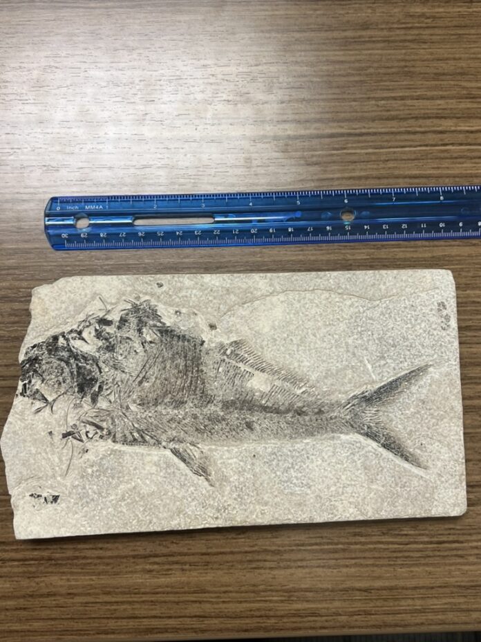 1ED73FCB-EC5F-4B82-AD0F-D99827EDC243_1_105_c