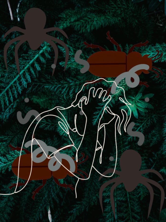 Delusional Infestations Smaller 2nd Try