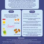 The Next Time You Smell Rotten Eggs It May Be a Comet. (6)