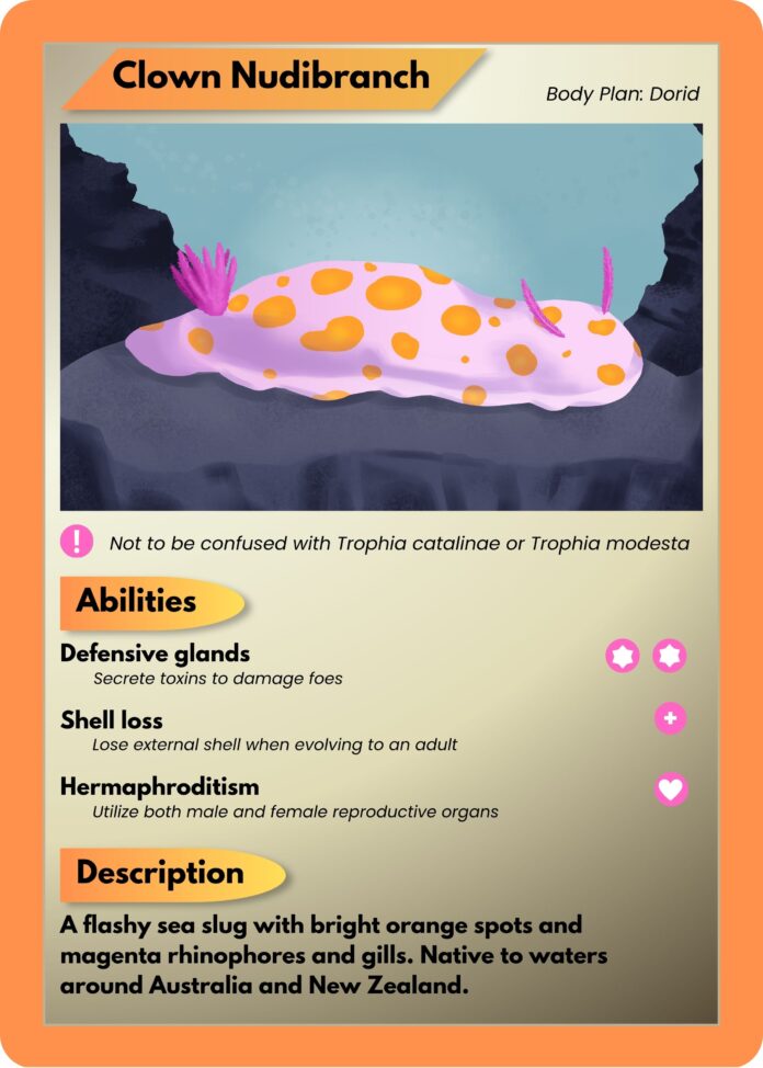 nudibranch card jpg