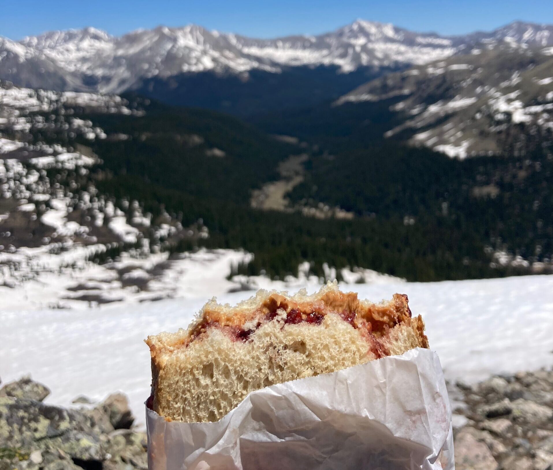 The science and history of the PB&J sandwich - Charged Magazine